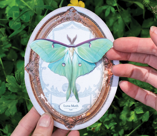 Fresh Picks: Petite But Powerful