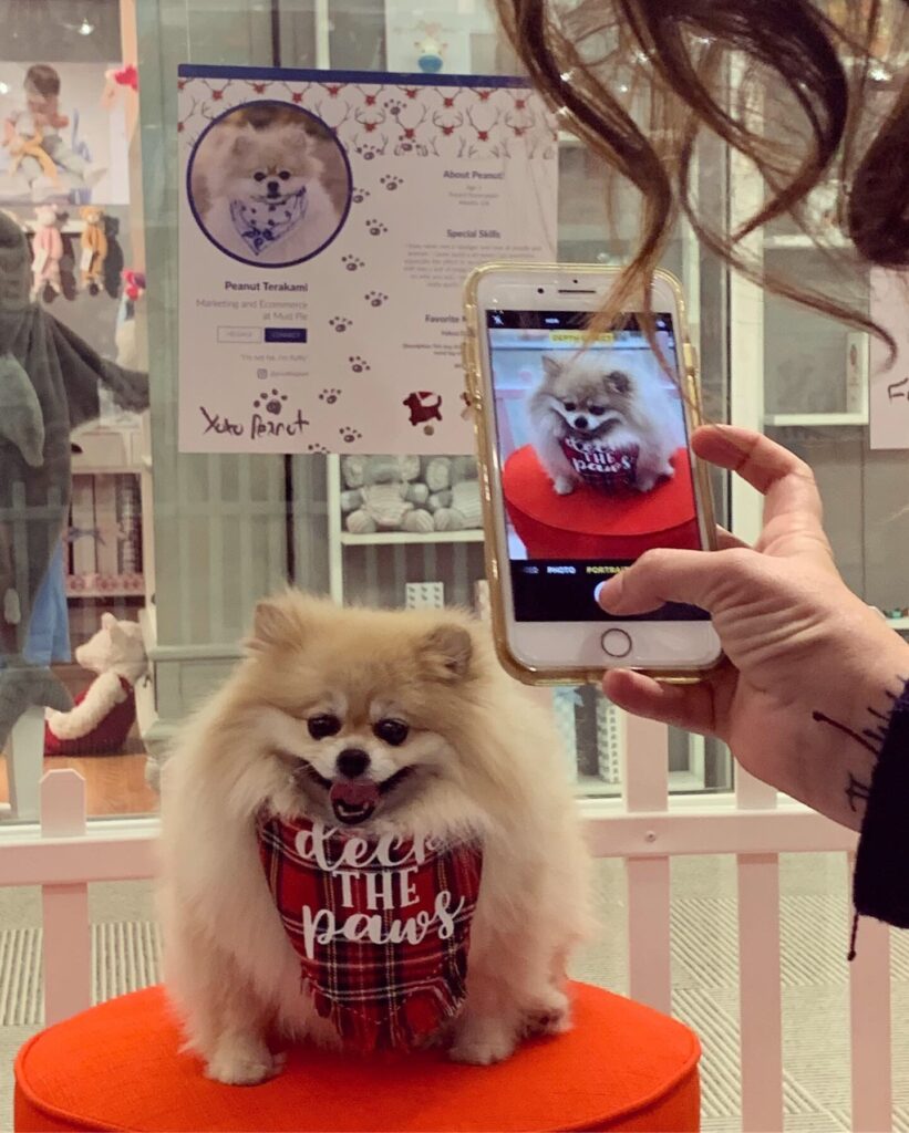 Mud Pie pups delight AmericasMart attendees