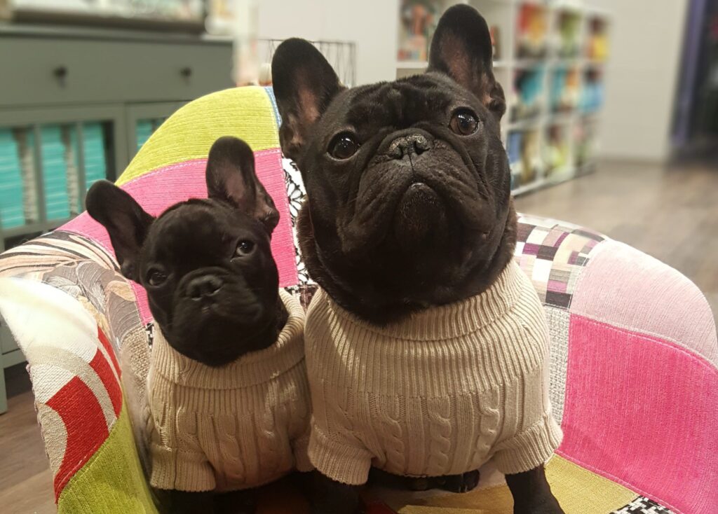 Rocky & Maggie’s