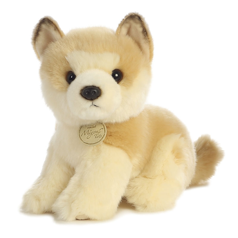 Miyoni Akita Puppy