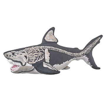 Megalodon