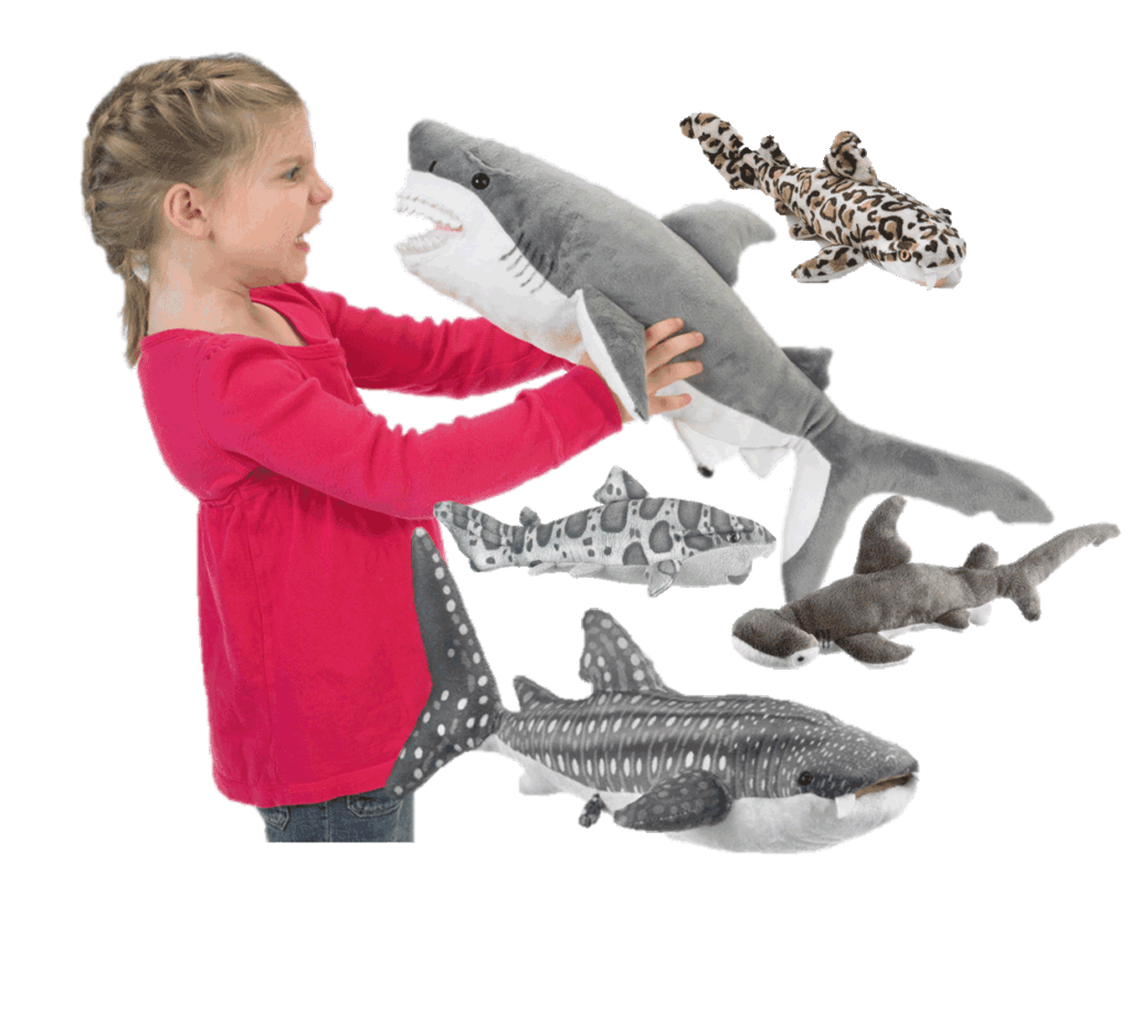 Shark Plush Collection