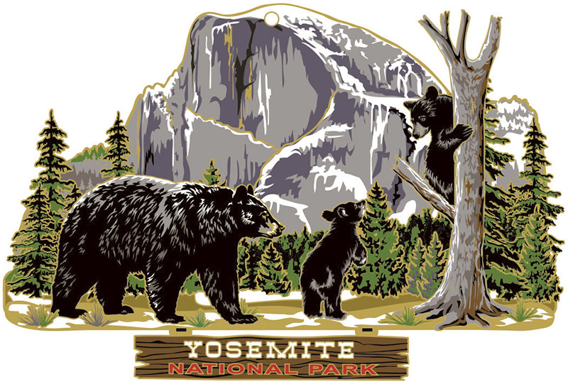 Yosemite Bears souvenir