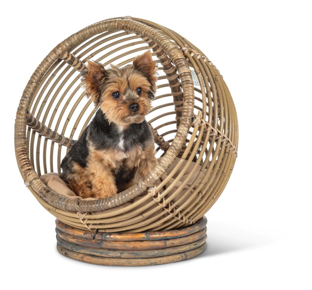 Jakarta Dog Bed