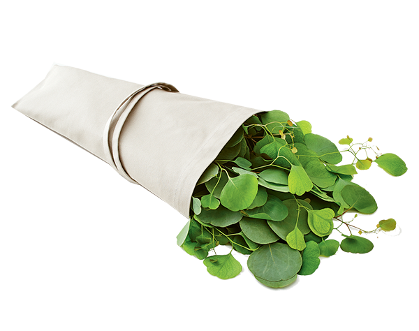The Environmentalist
