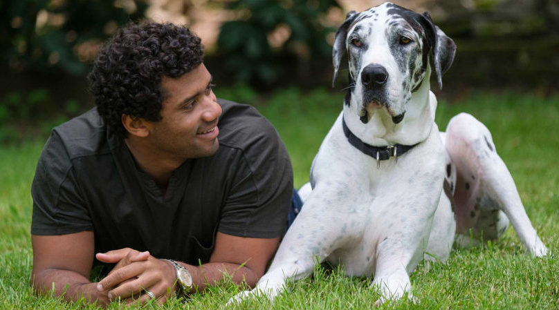 Football star Russell Wilson raises awareness for pet-friendly domestic violence shelters