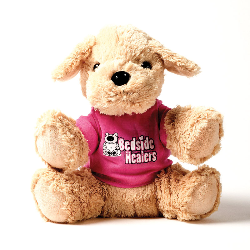 BedsideHealers-copy BedsideHealers-copy