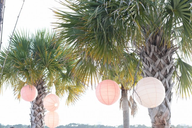 Coton Colors Convention educates, rejuvenates attendees