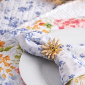 C&F Enterprises launches new products across brands for winter markets