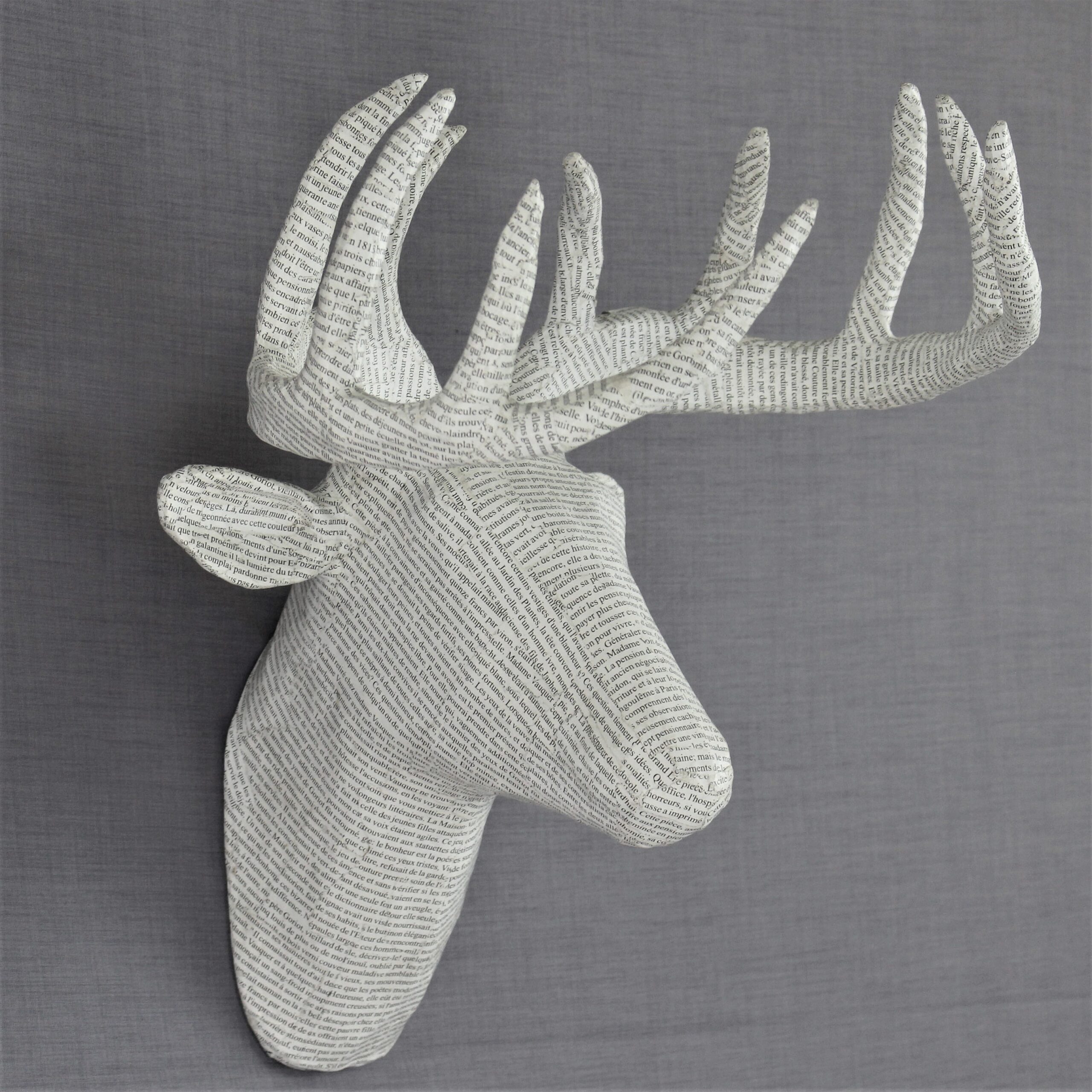 Caribbean faux mounted deer 