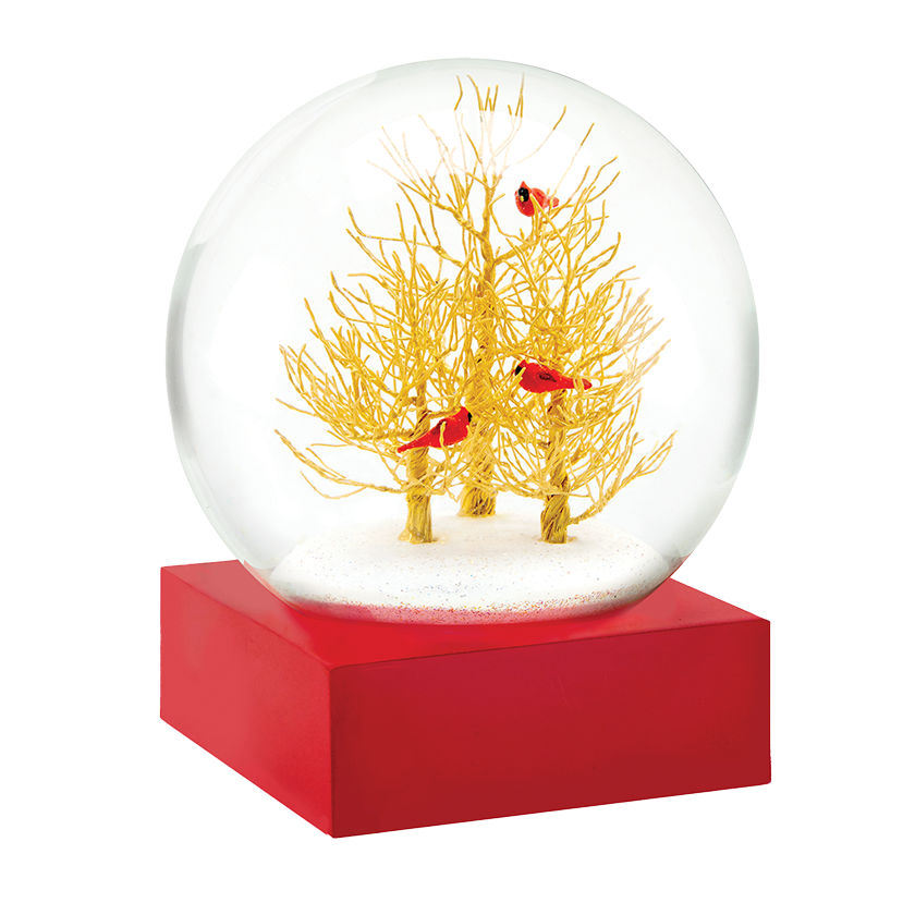 CoolSnowGlobes appoints AnnMarie Gallo as general manager