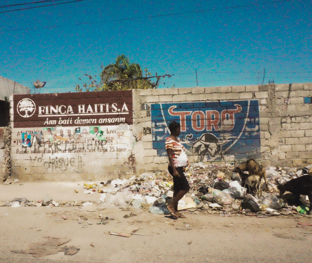 Haiti from the Other Side