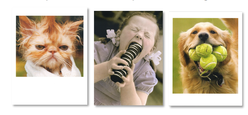Designer Greetings acquires Northern Exposure Greeting Cards
