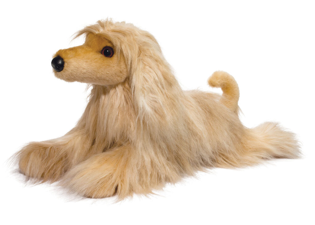Afghan Hound