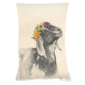 Eric & Christopher Princess Perkasie Pillow