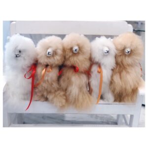 EcoHome Fair Trade Alpacas