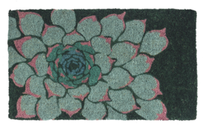Succulent Door Mat from Entryways