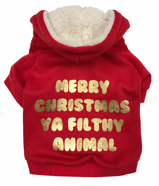 Festive Pet Finds