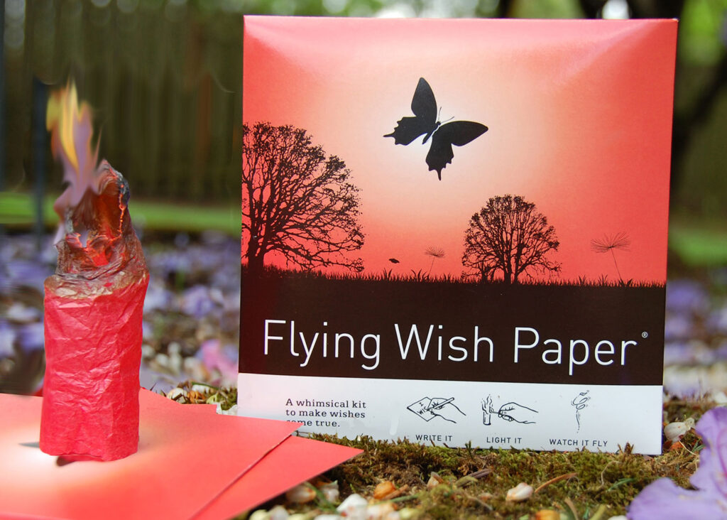 Butterfly Wishing Kit