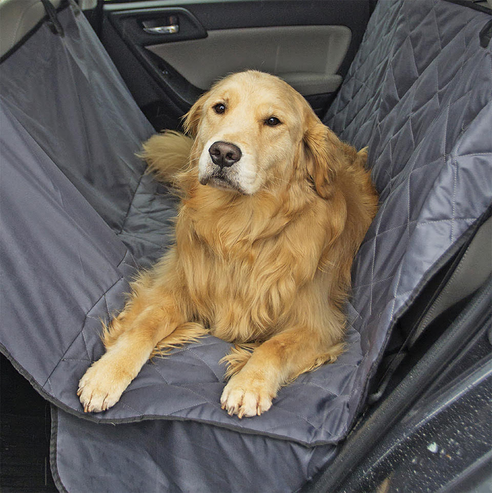 Holiday gift shopping for the adventurous car-loving dog dad