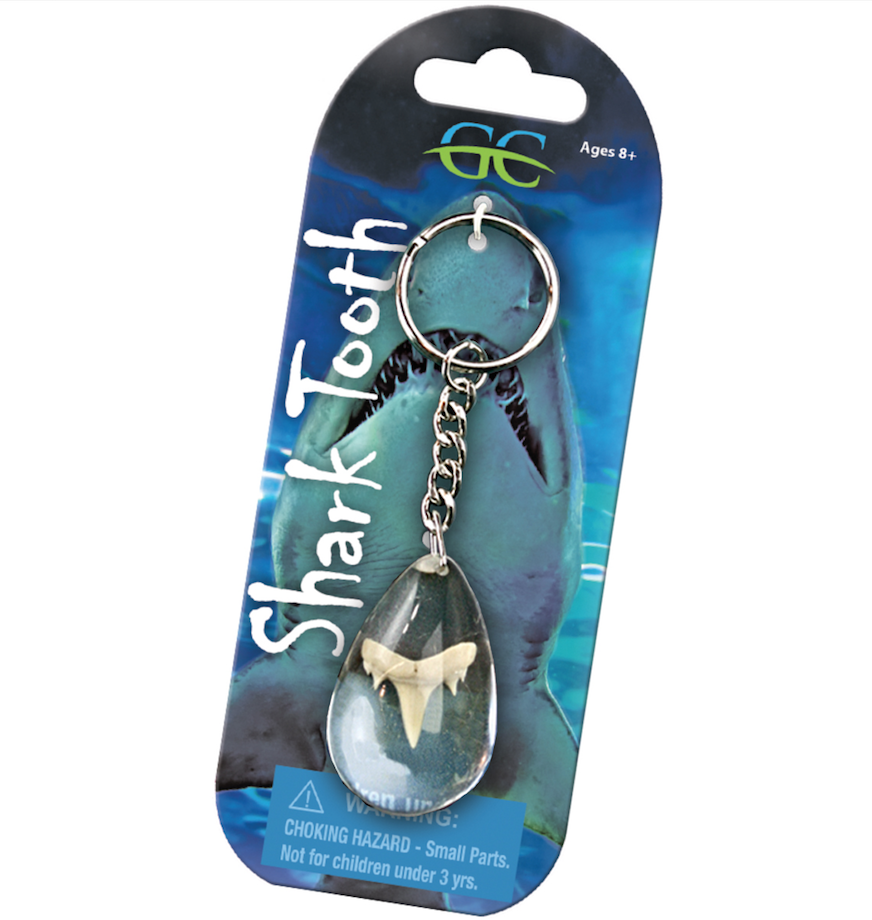 Shark Tooth Key Chain
