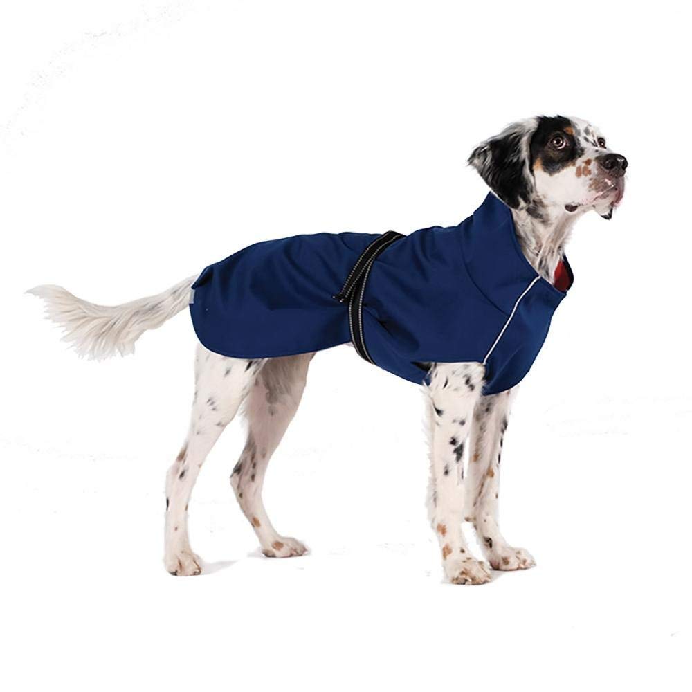 Pawducts with Purpose