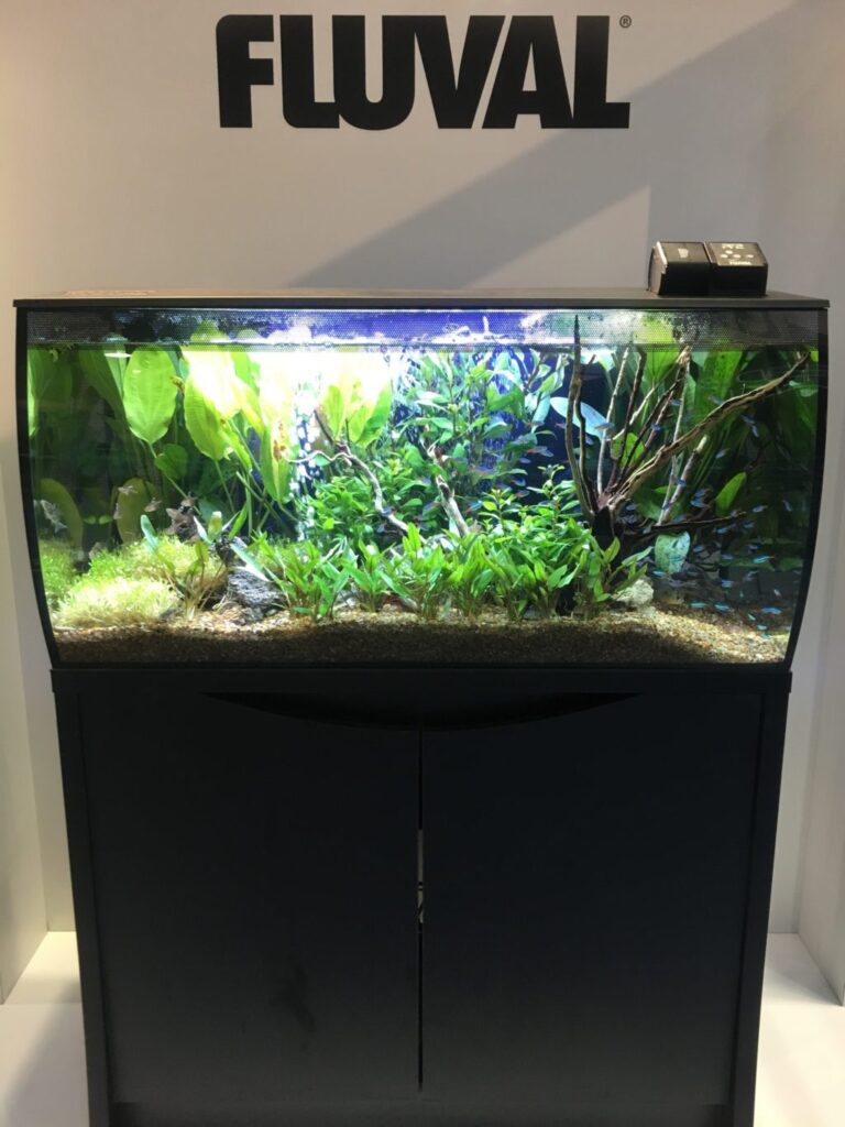 New Products Showcase winners announced at Global Pet Expo
