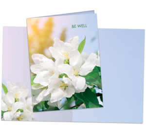 Greeting Cards from Leanin' Tree are Made in the USA