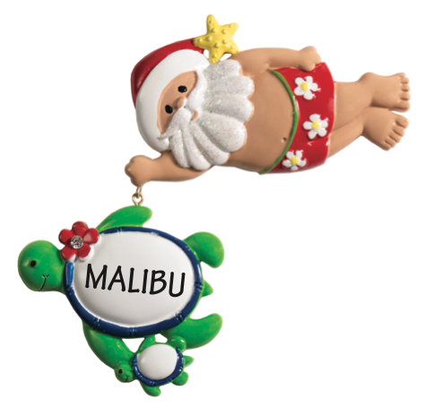 Linking Santa & Sea Turtle