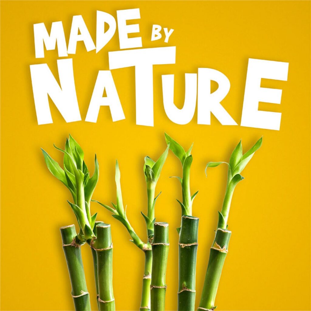 Spielwarenmesse’s International TrendCommittee focuses on green toys