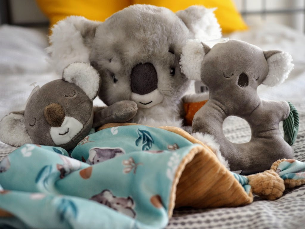 Mary Meyer sends Australia wildlife relief
