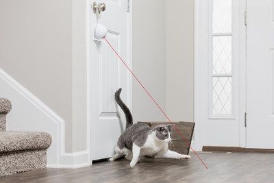 PetSafe expands its electronic cat toys category
