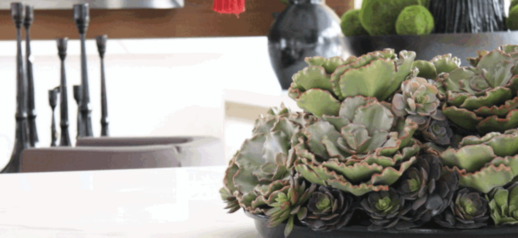 AmericasMart’s Spring Market shines with gift, holiday and floral must-haves