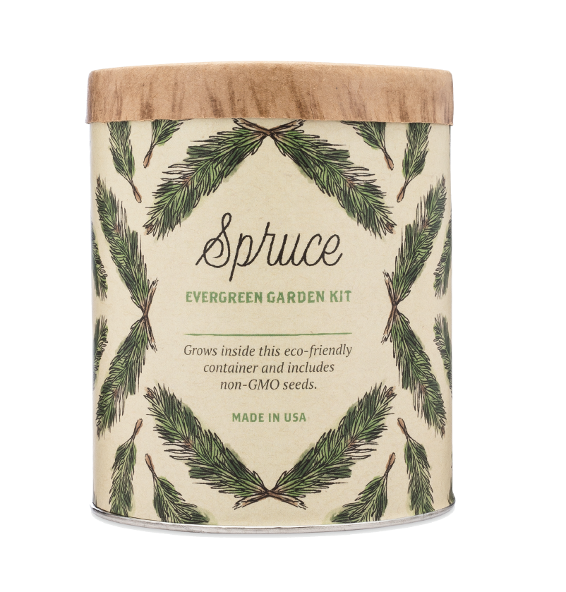 Spruce Evergreen Garden Kit