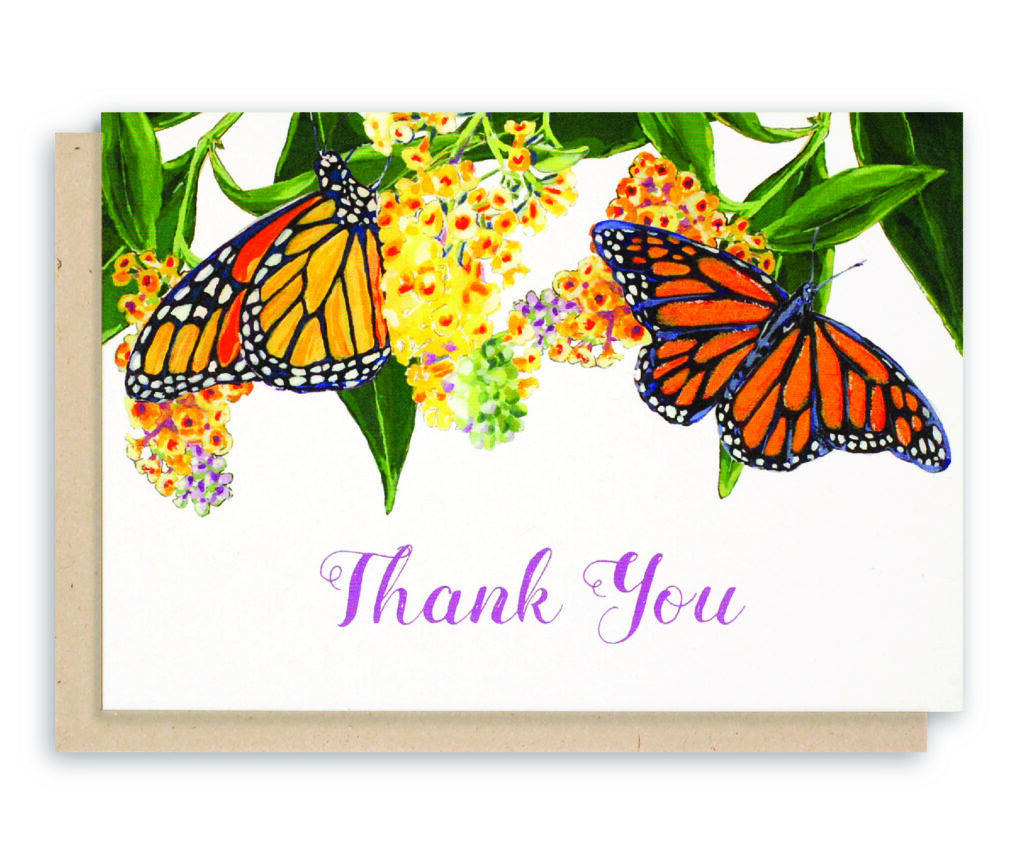 What’s in the Cards: Social Butterflies