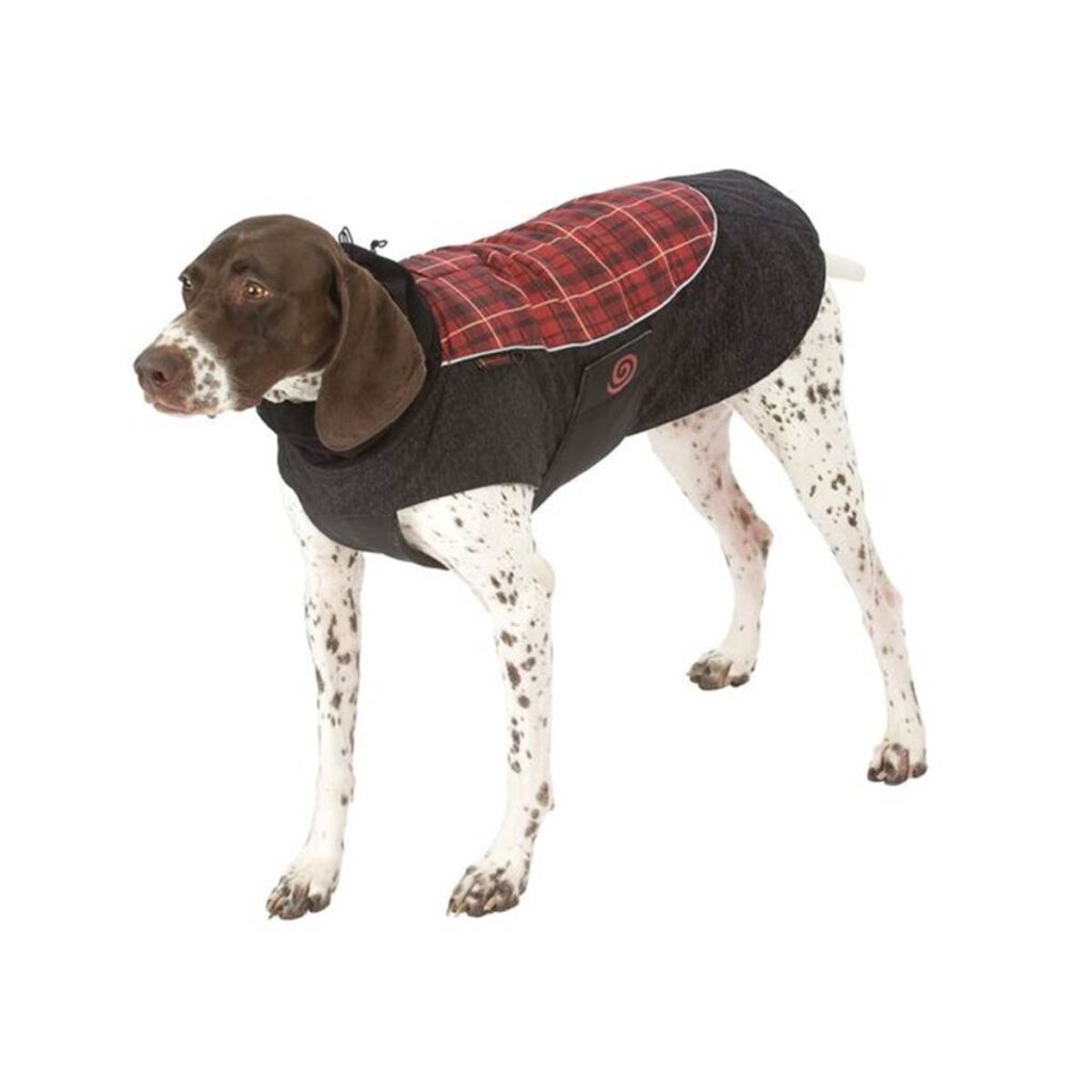 Tips for keeping your dogs safe this winter