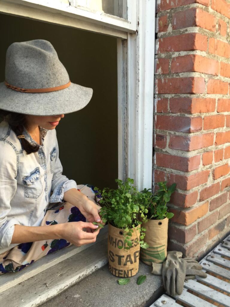 Living the Organic Lifestyle