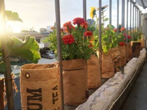 UrbanAgriculture_6149