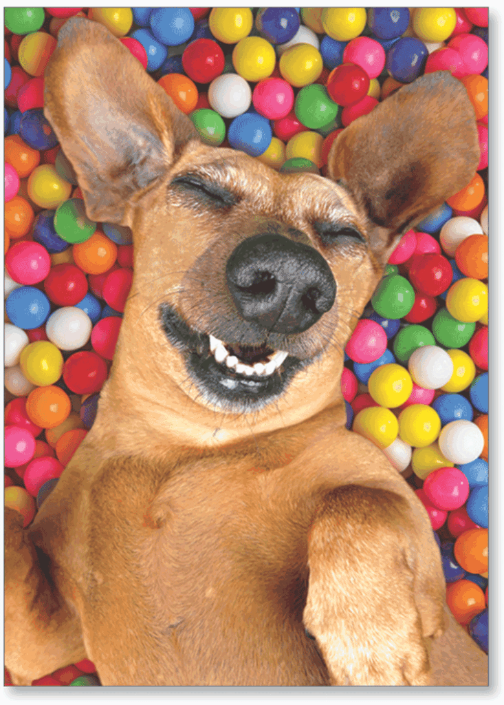 Sprightly Stationery and Greeting Cards