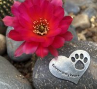 Whitney Howard Designs