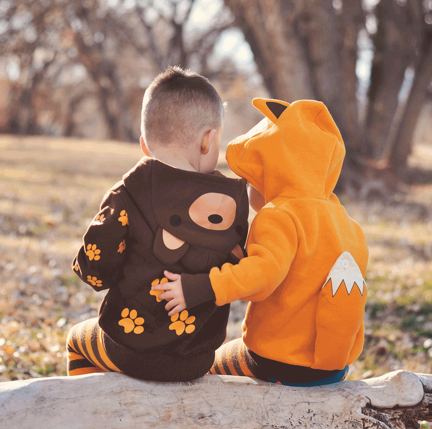 Woodland Fox & Bear Hoodies