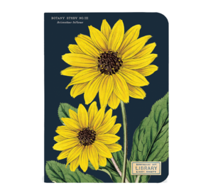 Mini-Journal from Cavallini & Co.