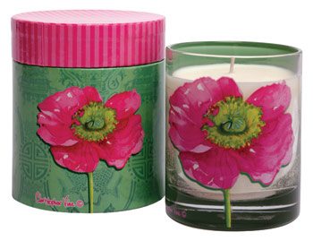 Candles’ Glowing Appeal