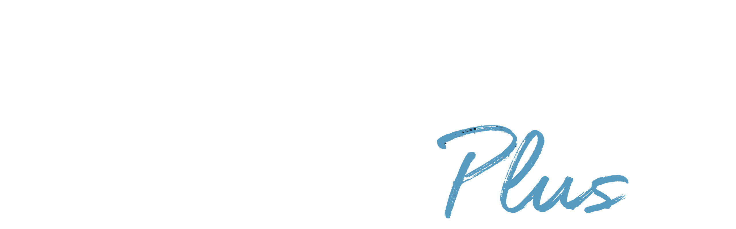 Gift Shop Plus