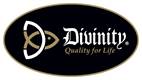 Divinity Boutique update