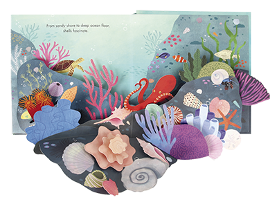 Shells