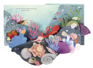 Shells Pop-up Card from Jumping Jack Press