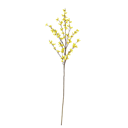 Aspen Gold