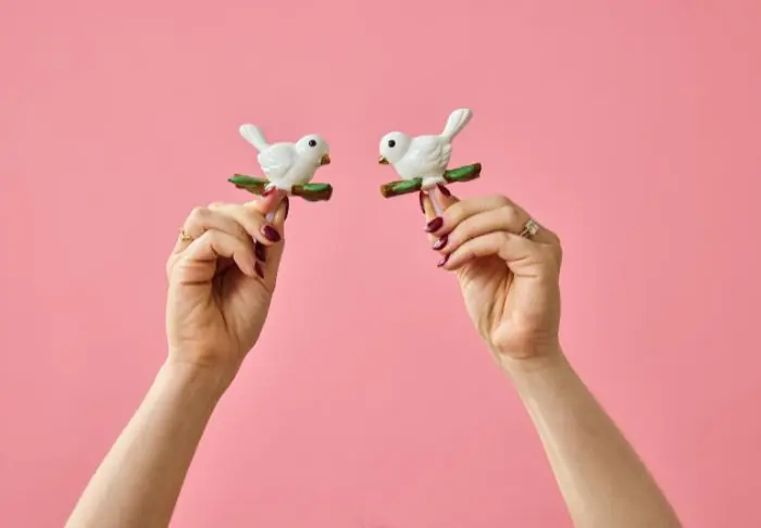 nora fleming launches ‘back to brick’ initiative with “bestie bird” mini