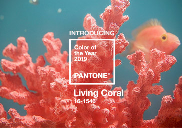 Pantone announces the Color of the Year 2019: Living Coral